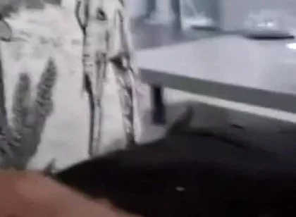Big Cock