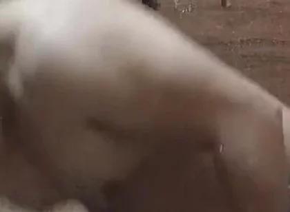 Bathroom Me Nanga Nahate Hue Bathing Video