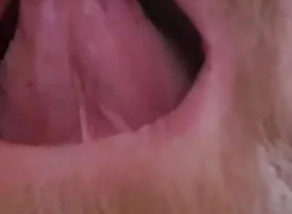 Mature Chubby Bear Toothless. Watch Inside My Toothless Mouth and Meet My Tongue - Mouth Fetish