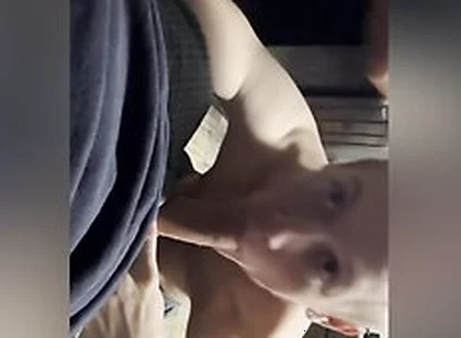 Gay Couch Blowjob