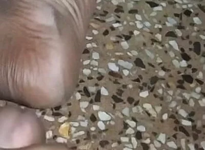 Indian Desi Girl Friend with Kissing and Sucking Pussy Hole