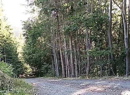 Scooter Rider Outdoor Masturbation