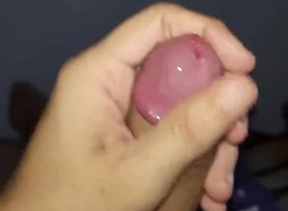 The Most Beautiful Cock You Will See Today