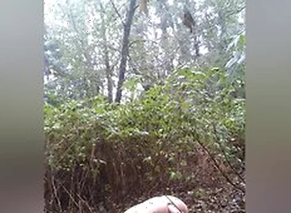Twink Uses Huge Toy In Woods