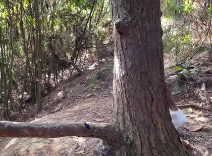A Curious Heterosexual Boy Saw Me Masturbate in the Forest and We Ended up Fucking