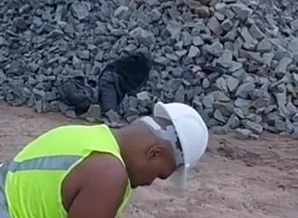 The Workers Were Alone on the Site and Look What They Did