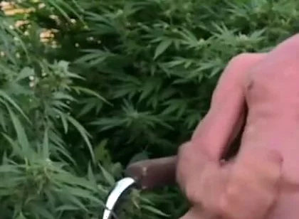 Cumshot Outdoors