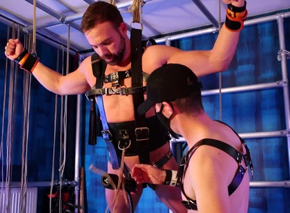 Suspended and Milked