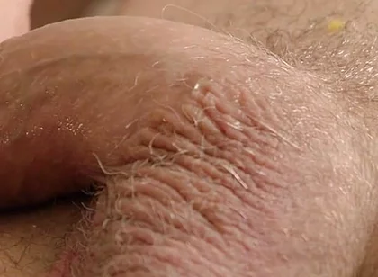 The Peach Scene