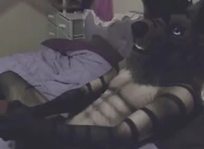 Hyena Muzzle Play