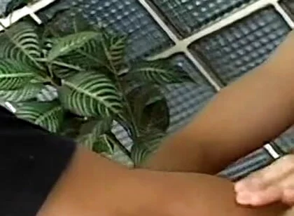 Hot Twinks Gay Fuck Action - Mutual Anal Creampie Switch Hitter