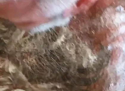 Still Dirty