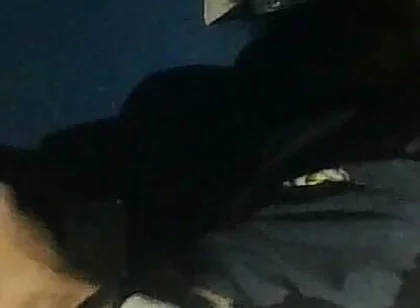 Watching Videos of Me Jerking