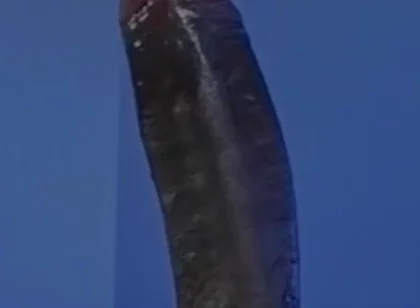 Sucking a Huge Black Cock in a Glory Hole