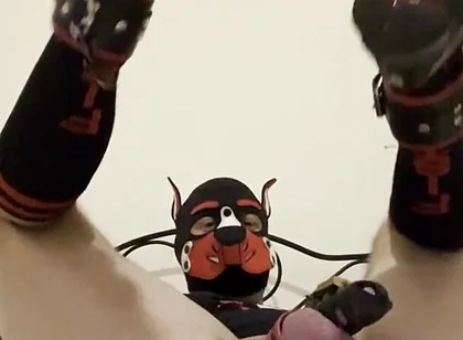 Gaping Gay Puppy Ass After Heavy Fisting Night