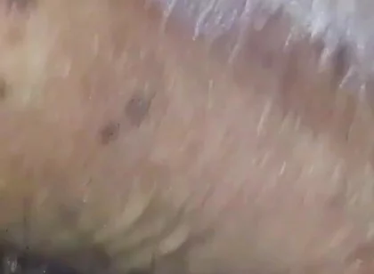 Feeling Horny Now