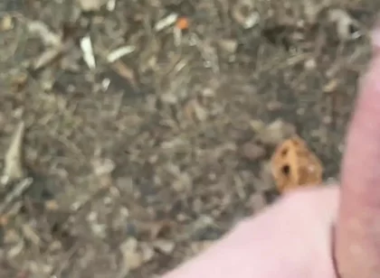 Solo Jerking off
