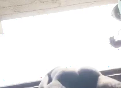 Doggy Bareback Below View