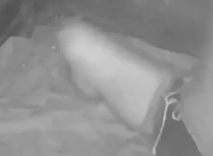 During His Jog, a Guy Discovers a Young Camper and Submits Him - Caught on Night Vision Cam