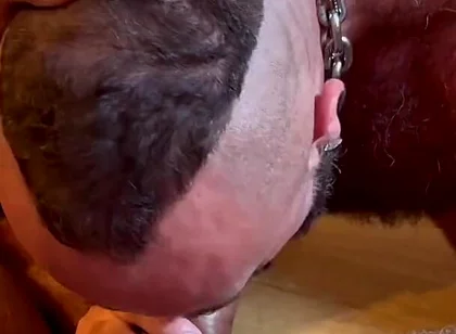 Hairy Males Fucking
