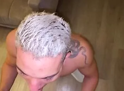 Jao Lucas Sucking Alpha Stud Cock Sucker