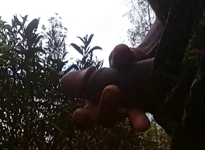 Solo Outside