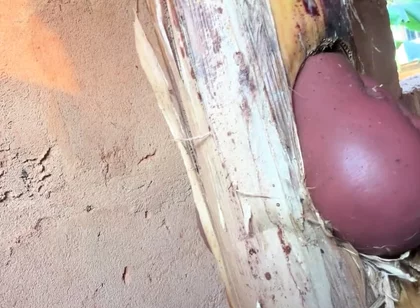 The Prisoner Find Hard Way to Sex