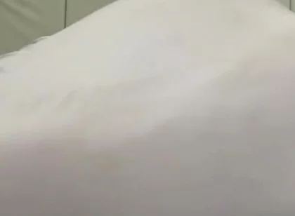 Essa Fake