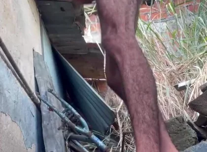 I Masturbate Behind the Neighbor's House