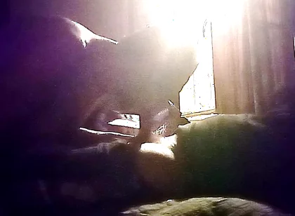 My Neighbor's Son Visits Me for Oral Sex in Secret