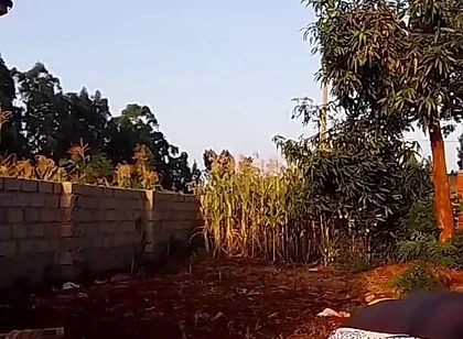 Sexy Desi Twink Stretching Compilation