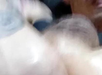 Fisht Anal Game