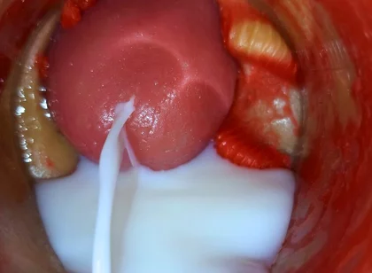 Inside POV Camera Captures an Intense Climax