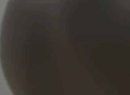 Vertical argument 4