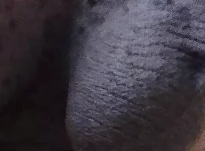 Come See My Hairy Huge Balls