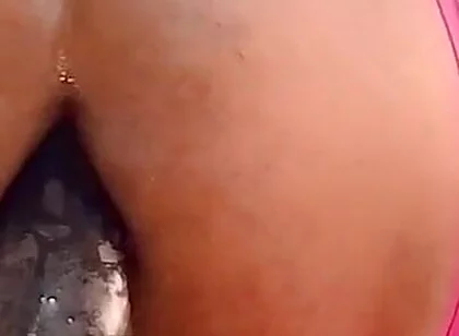 Succulent Toy!