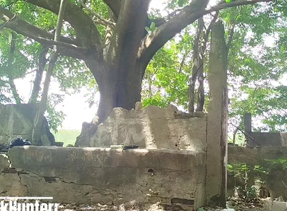 Masturbating in the Park
