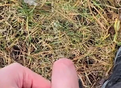 A Bit Risky Peeing - POV Outdoor Male Pee During a Nature Walk