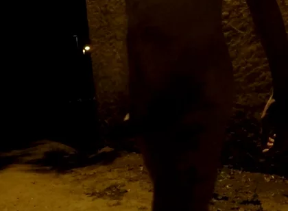 Crusing in a Park at Night - Getting Naked 2