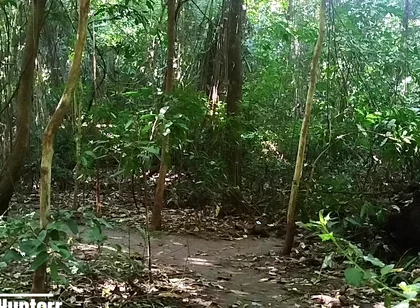 Cumming in the Park