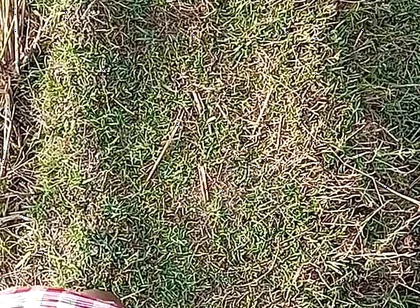 Gay Boy Outdoor Night Pussy Hole Sucking