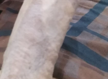 Handsome Boy Masturbation