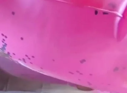 Beautiful inflatable swimrings in my bed