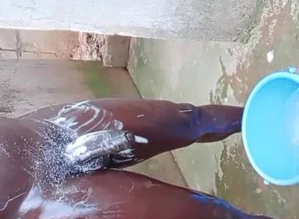 Wow Big Dick Workouts Experience