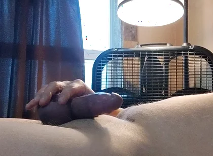 Uses a Toy