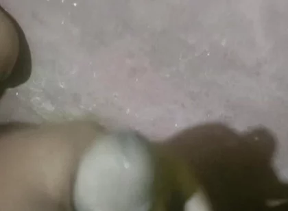 Indian Cock