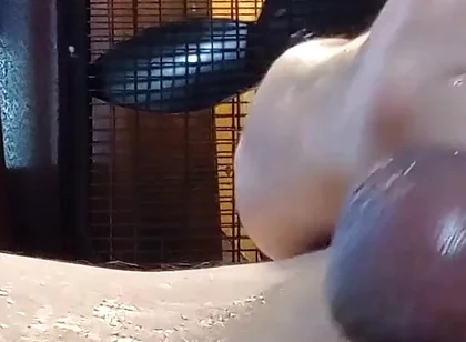 Cum Clean My Cock