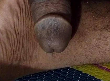 Desi Anaconda