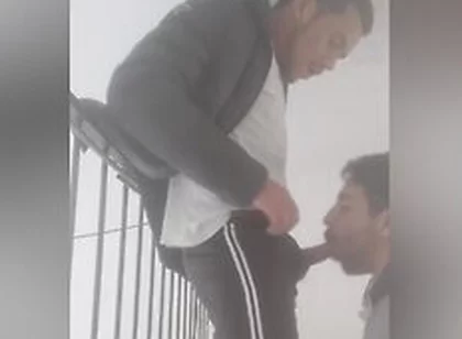 Taking Care Of A Friends House