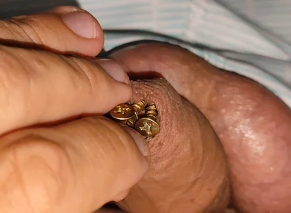 Hammering How Many Screws the Penis Can Hold.